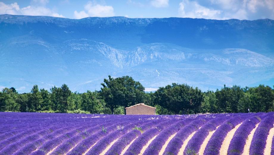 Provence nyaralás